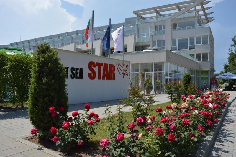 Black Sea Star Черноморец Экстерьер фото