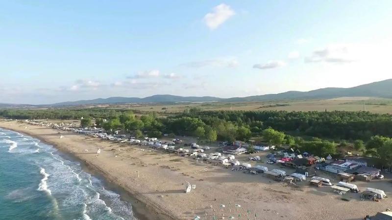 Black Sea Star Черноморец Экстерьер фото